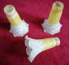 Lot de 3 Anciennes Tulipes