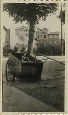 ANTIQUE PHOTO - VINTAGE SNAPSHOT - ANIMAL DOG FUNNY TRAILER - DOG FUNNY