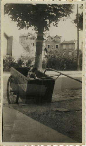 Photo ancienne vintage - -,