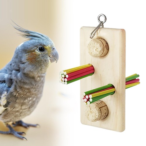 Jouets mâcher pour - jouets,