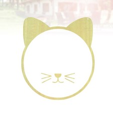 Miroir mural acrylique Miroir