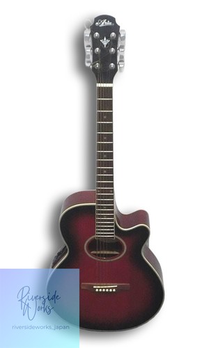 Guitare électrique acoustique