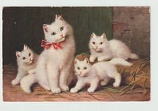 Chats, chatons   CPA  099