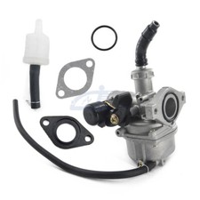 PZ19 Carburetor for Chinese