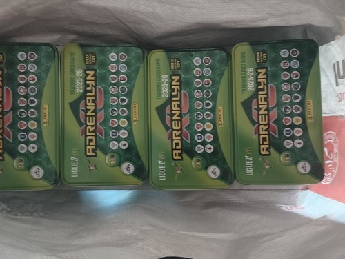 Lots 300 cartes panini - de,