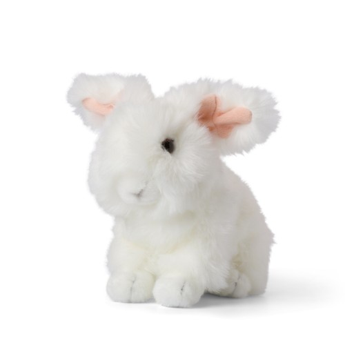 Wwf poupée peluche lapin - poupée,