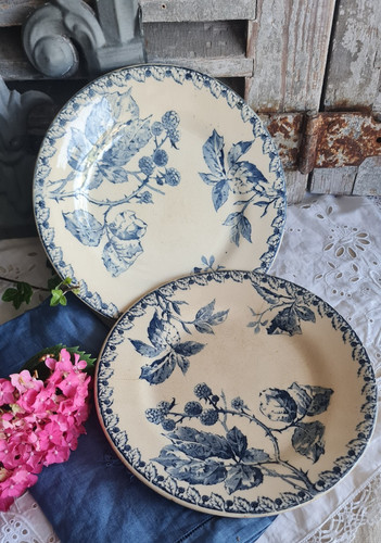 Anciennes petites assiettes - anciennes,