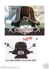 Pare-Brise Fumée 'Sombre