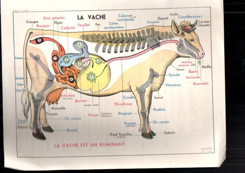 Lot affiche scolaire la - 2,