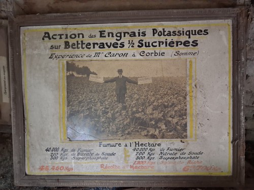 Affiche action des - affiche, engrais