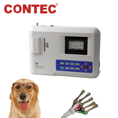 Digital channel veterinary - digital,