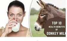 LAIT D'ÂNESSE EN POUDRE 100 % HERBES NATURELLES LYOPHILISÉ (1,76 OZ) 50 G