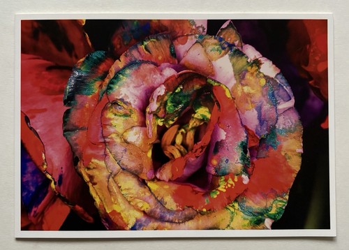 Nobuyoshi araki grand carton - nobuyoshi,