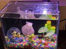 Fish Tank Aquarium