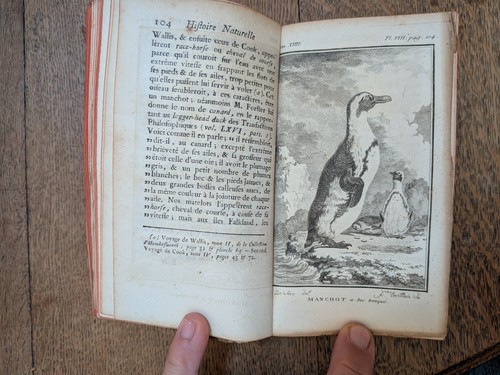 Livre ancien buffon - ancien-, buffon-