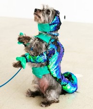 ? Cameleon Dog Costume Size Medium?