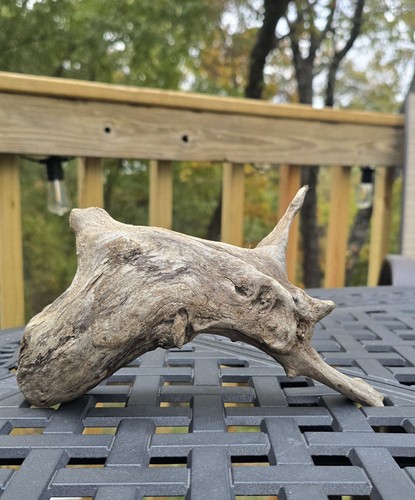 Driftwood freshwater - driftwood,