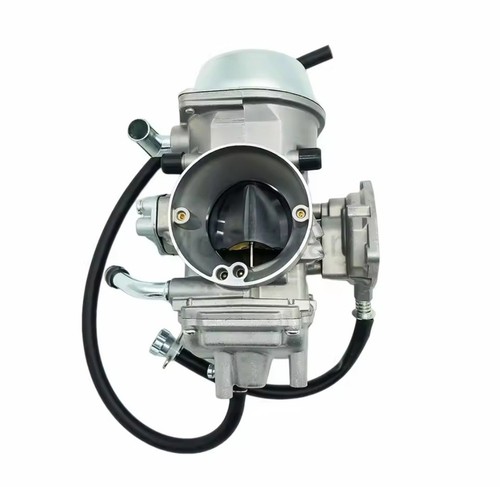 Carburateur pour yamaha rhino - carburateur,