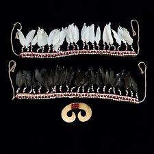 Tribal Asmat Trophy Headdress Bipane Septum Nose Piercing Papua New Guinea Art