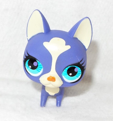 Littlest pet shop petshop - shop,