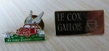 RARE 2 PIN'S CAR COX LADYBUG CLUB GAULOIS VICHY 