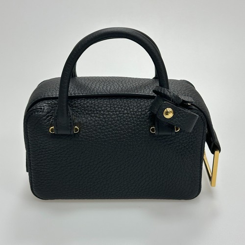 Delvaux cool box - box, nano