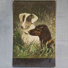 Jack Russell Terrier and Chien