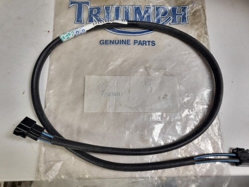 Oem triumph t2504111 câble - t2504111,