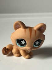 PETSHOP  CHAT SPHYNX N°649