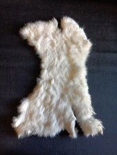 Peau de lapin N°1