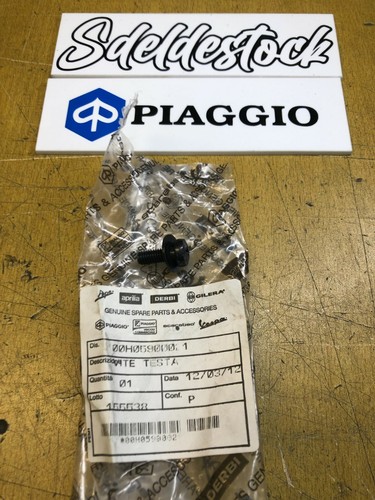 Vis 6m100x16 derbi aprilia - 6m100x16,