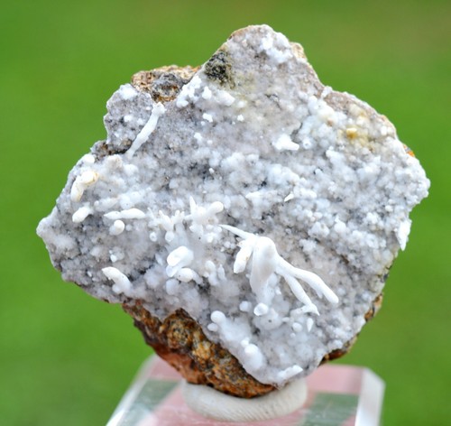 Aragonite flos ferri - "flos, 48