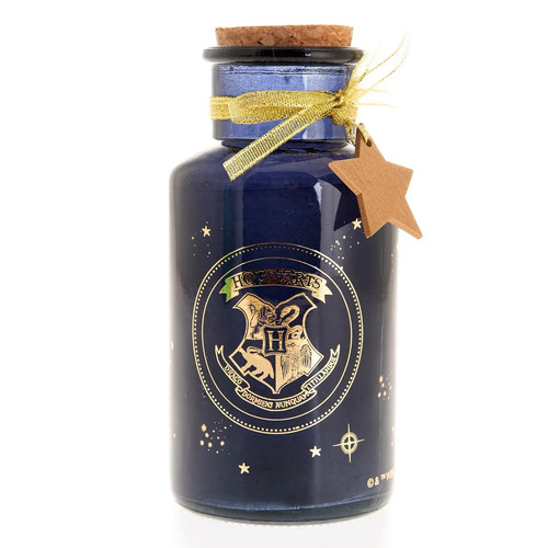 Harry potter mini pot - harry,
