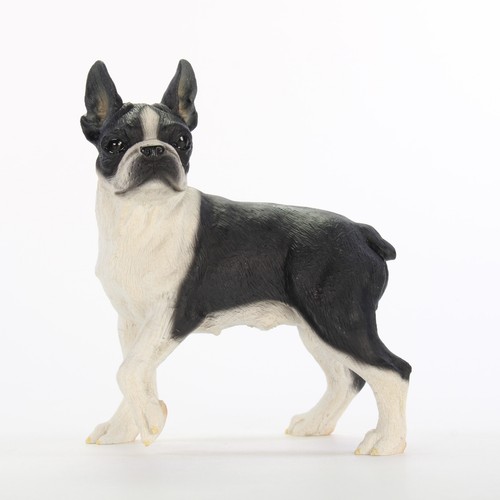 Statuette chien boston - statuette, de