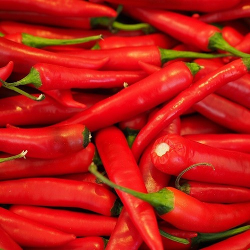 Graines piment de cayenne - 50,