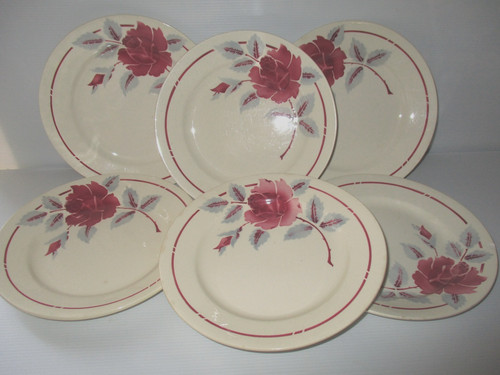 Assiettes plates moulin des - 6,