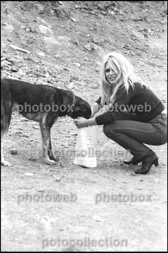 Brigitte bardot exclusive - *,