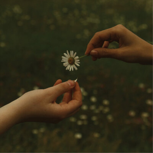 Goldmund the time takes - the,