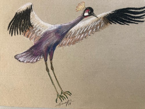 Beau dessin 1980 oiseau - 1980, crayon