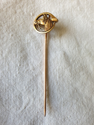 Horse head tie - tie, pin