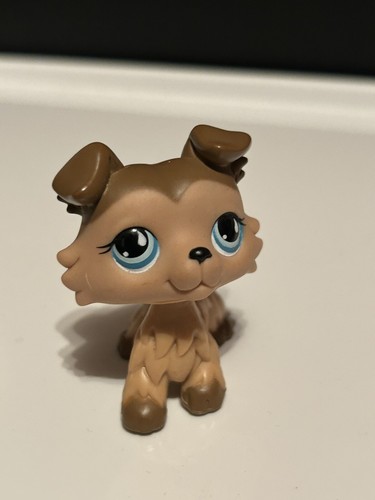 Littlest pet shop 893 - pet,