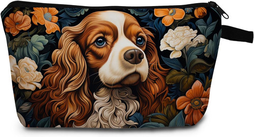 Cavalier king charles - cavalier,