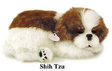 SHIH TZU - The Breathing Puppy - PERFECT PETZZZ