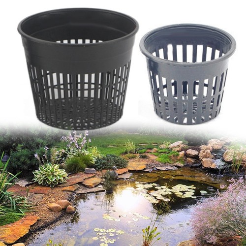 Paniers ronds pour - , plantes