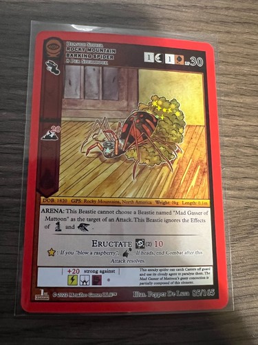 Rocky mountain barking - rocky, spider