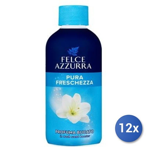 12x ensemble felce - ensemble,