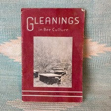 1938 Gleanings in Bee Culture Magazine Volume LXVI 66 Number 2 Beekeeping