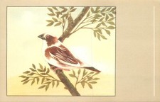 Birds themed postcard Moineau du Japon