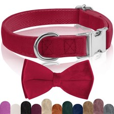 Collier Chien Velours, avec