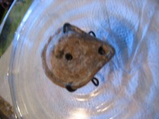 LAMPE A HUILE PRE ROMAINE II